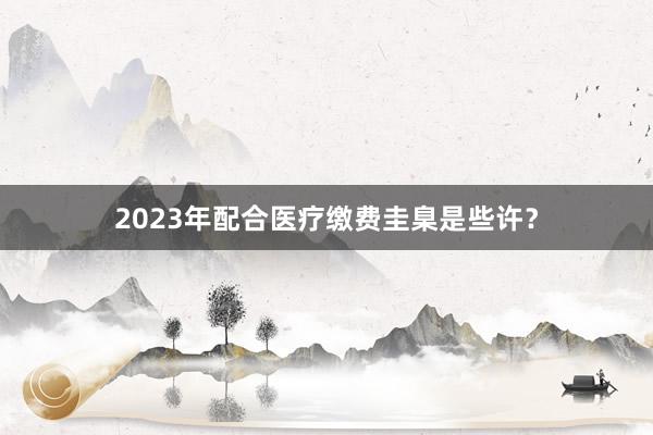 2023年配合医疗缴费圭臬是些许?